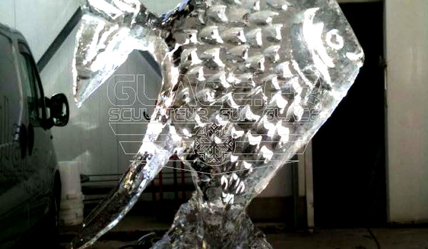 sculpture sur glace poisson